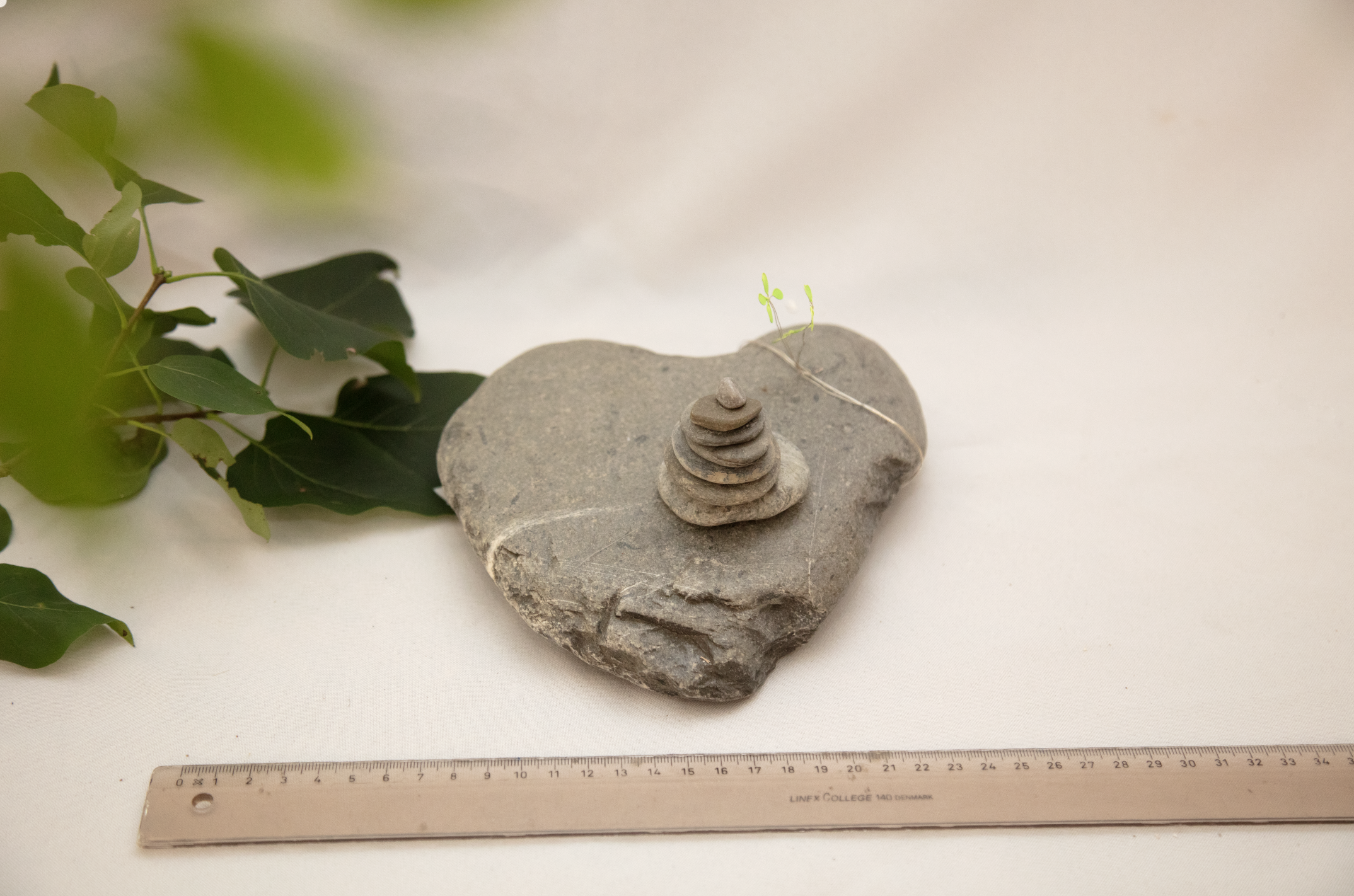 Read more about the article Lech Glücks-Herzstein