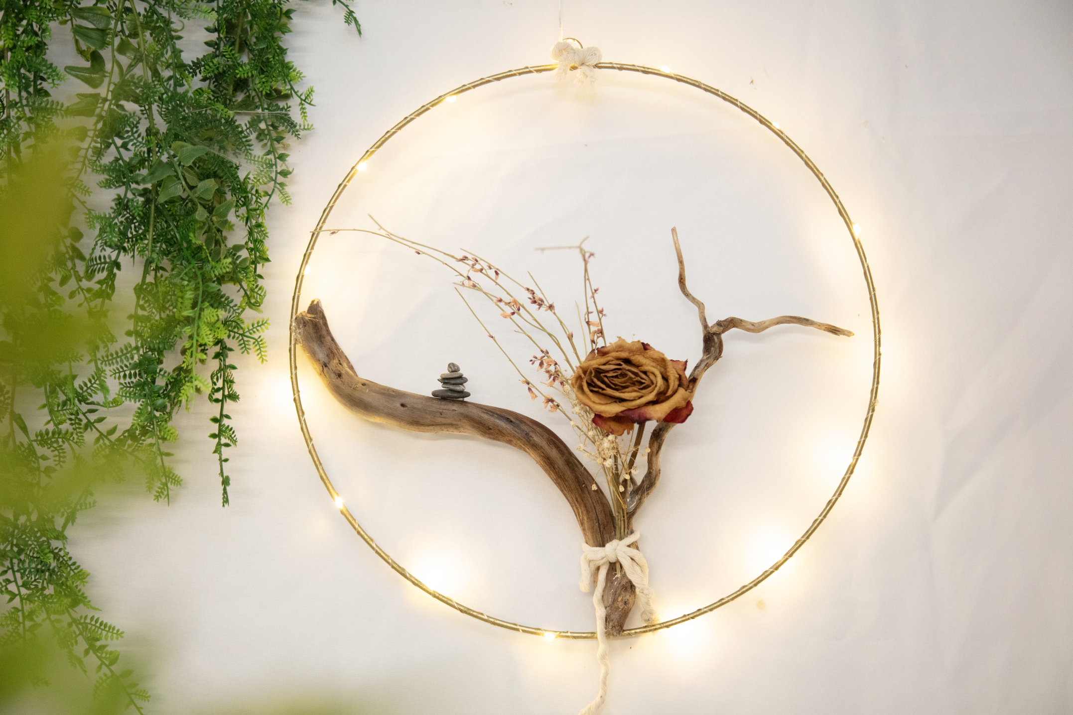 Read more about the article Lech-Traumfänger-Rose