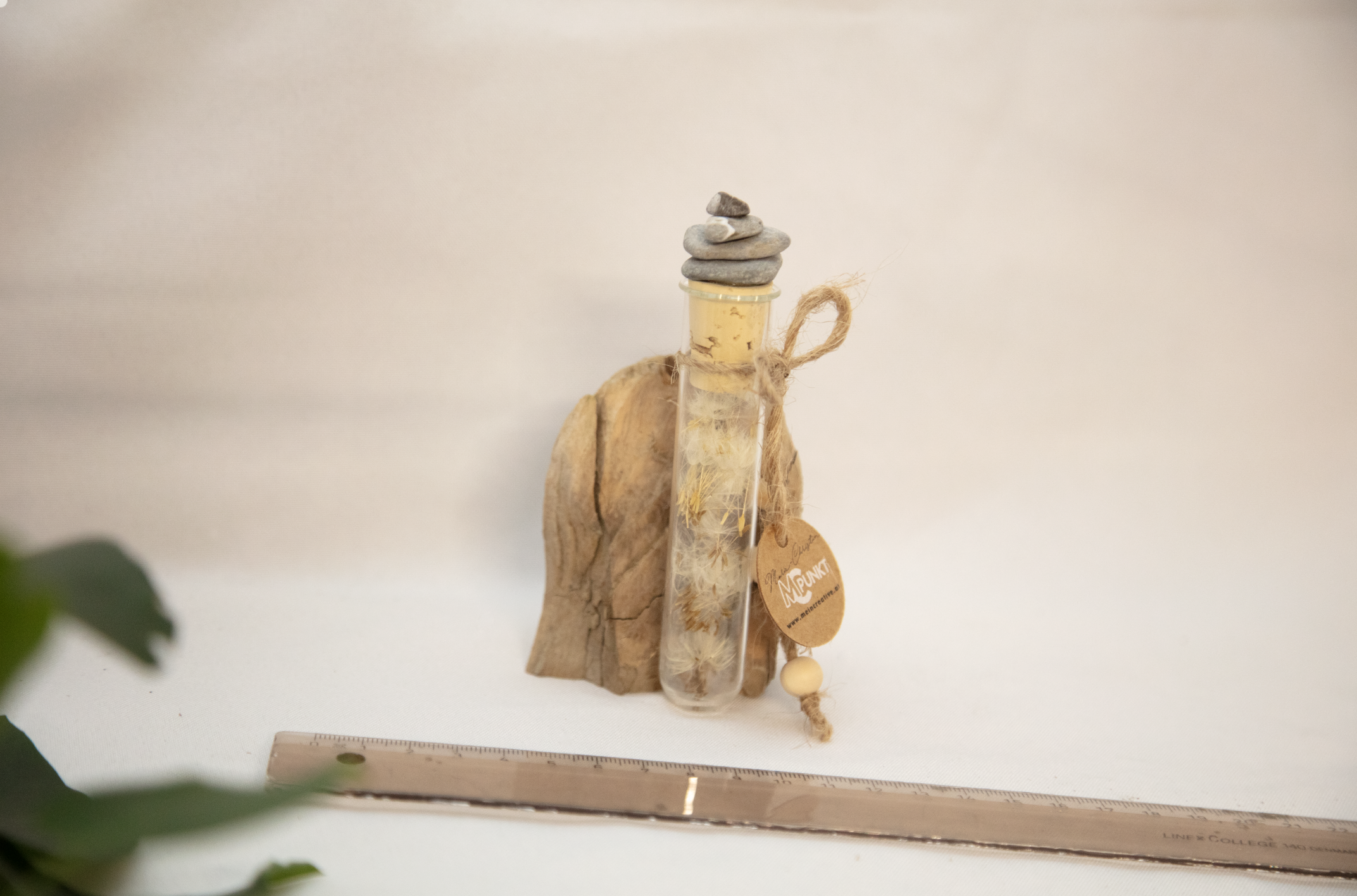 Read more about the article Lech Wunsch Holz